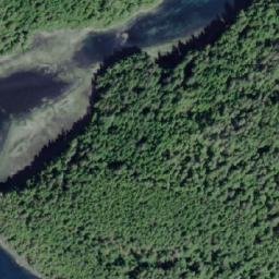 Satellite imagery of Tree Point, CA