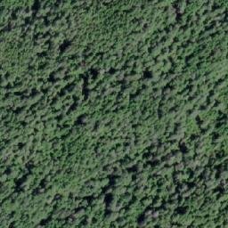 Satellite imagery of Tree Point, CA