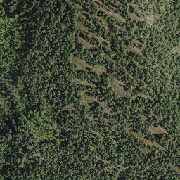 Satellite imagery of McPherson Hill, CA