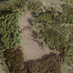 Satellite imagery of Buchkopf, DE