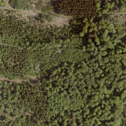 Satellite imagery of Buchkopf, DE