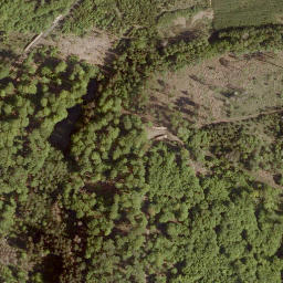 Satellite imagery of Buchkopf, DE