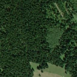 Satellite imagery of Dvorský les, CZ