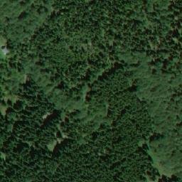 Satellite imagery of Dvorský les, CZ