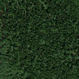 Satellite imagery of Dvorský les, CZ