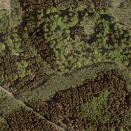 Satellite imagery of Buchkopf, DE