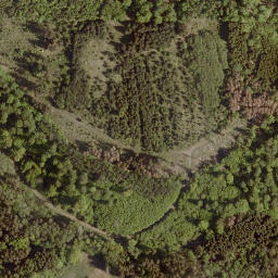 Satellite imagery of Buchkopf, DE