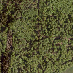 Satellite imagery of Buchkopf, DE