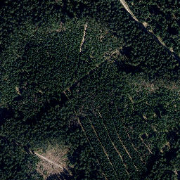 Satellite imagery of Ochsenbachskopf, DE