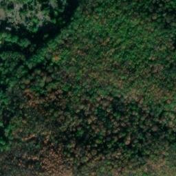 Satellite imagery of Střekov [Ústí nad Labem-Střekov] burg outlook t., CZ