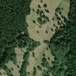 Satellite imagery of Dvorský les, CZ