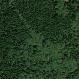 Satellite imagery of Dvorský les, CZ