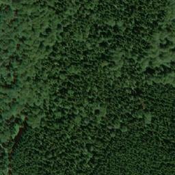 Satellite imagery of Dvorský les, CZ