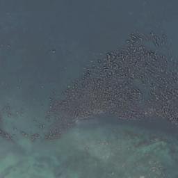 Satellite imagery of Single Tree Point, CA