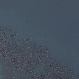 Satellite imagery of Single Tree Point, CA