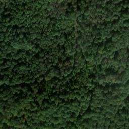 Satellite imagery of Mühlberg, DE