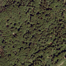 Satellite imagery of Adlerhorst, DE