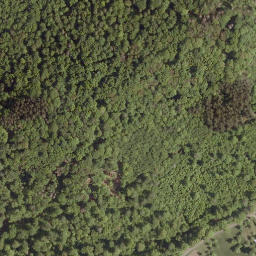 Satellite imagery of Lollarkopf, DE