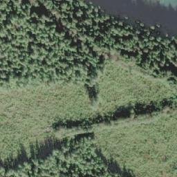 Satellite imagery of Single Tree Point, CA