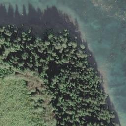 Satellite imagery of Single Tree Point, CA