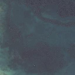 Satellite imagery of Single Tree Point, CA