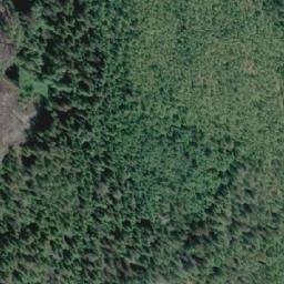Satellite imagery of Alpha Bluff, CA