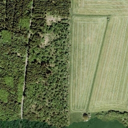 Satellite imagery of Dickenhahn, DE