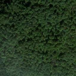 Satellite imagery of Mühlberg, DE