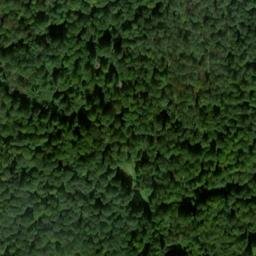 Satellite imagery of Mühlberg, DE