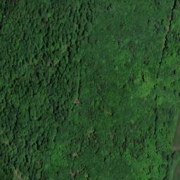 Satellite imagery of Thorkuppe, DE