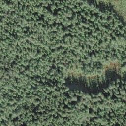 Satellite imagery of Single Tree Point, CA