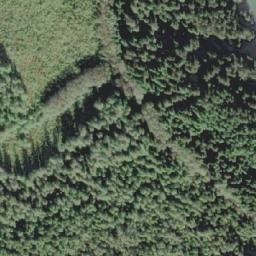 Satellite imagery of Single Tree Point, CA