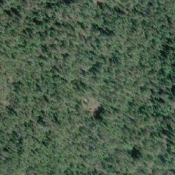 Satellite imagery of Alpha Bluff, CA