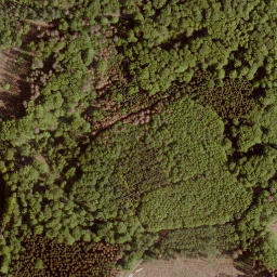 Satellite imagery of Laubachskopf, DE