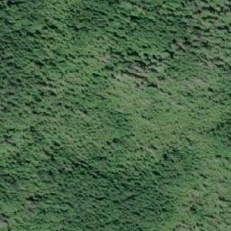 Satellite imagery of Ripple Bluff, CA