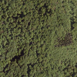 Satellite imagery of Hangelstein, DE