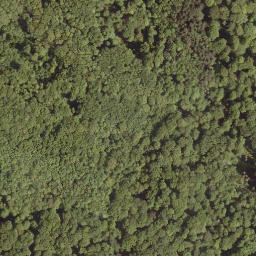Satellite imagery of Hangelstein, DE