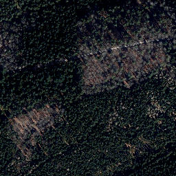Satellite imagery of Haardtberg, DE