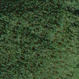 Satellite imagery of Mount Edith, CA