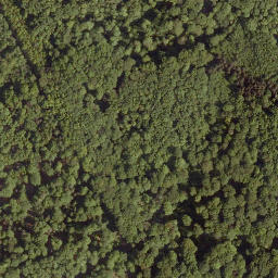 Satellite imagery of Hangelstein, DE