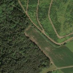 Satellite imagery of Hohe Warte, DE