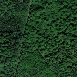Satellite imagery of Burgwald, DE