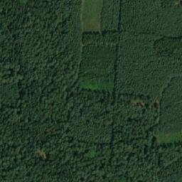 Satellite imagery of Borová [Ralsko-Kuřívody], CZ