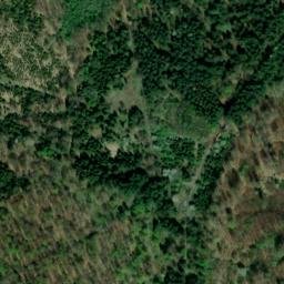 Satellite imagery of Hainich, DE