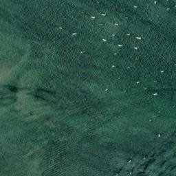 Satellite imagery of Warren Point, GB