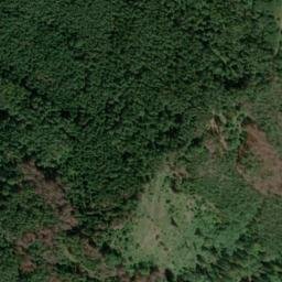 Satellite imagery of Tann-Berg, DE