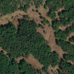 Satellite imagery of Dub [Doksy u Máchova jezera], CZ