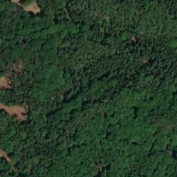 Satellite imagery of Dub [Doksy u Máchova jezera], CZ