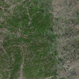 Satellite imagery of Mount Martin, CA