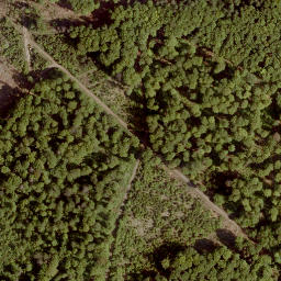 Satellite imagery of Sengkopf, DE